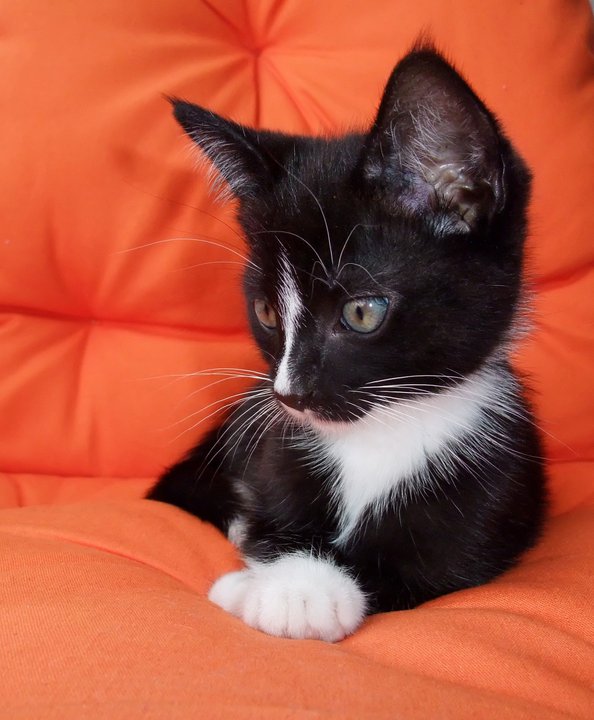 184166_10150247561182373_3987056_n